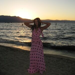 Zara Pink and Brown Dress